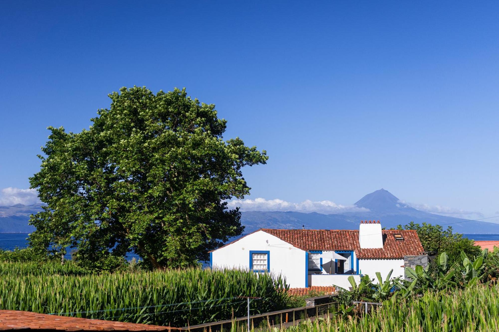 Casas Dos Vimes Villa Faja dos Vimes Dış mekan fotoğraf