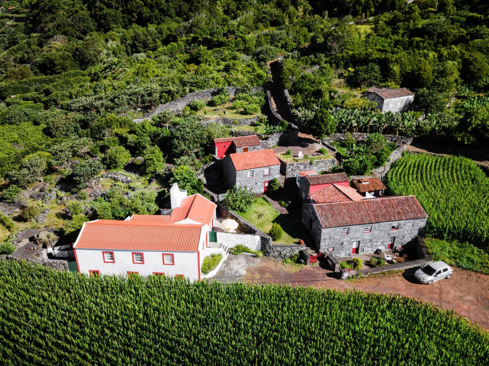 Casas Dos Vimes Villa Faja dos Vimes Dış mekan fotoğraf